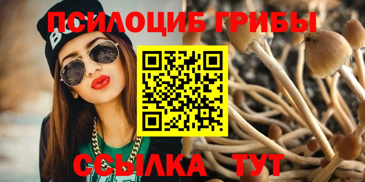 Галлюциногенные грибы мицелий Краснодар